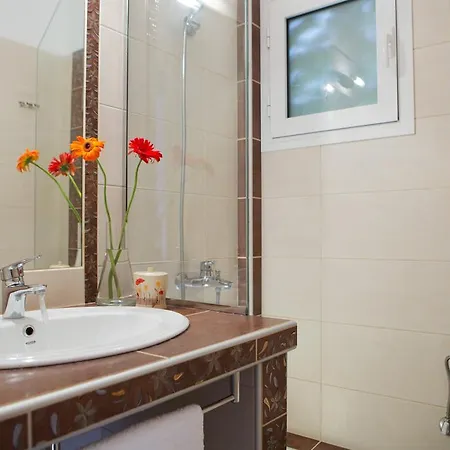 Amalia Apartman Exánthia